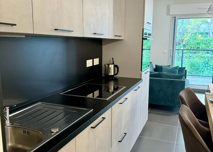 Appartement Superbe T2 Dans Résidence Avec Piscine Chauffée Beausoleil